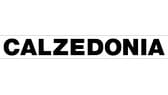 Calzedonia logo tumb