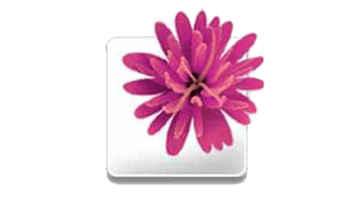 Illustrator Logo-2003