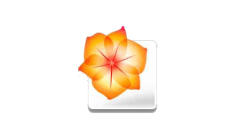 Illustrator Logo-2005