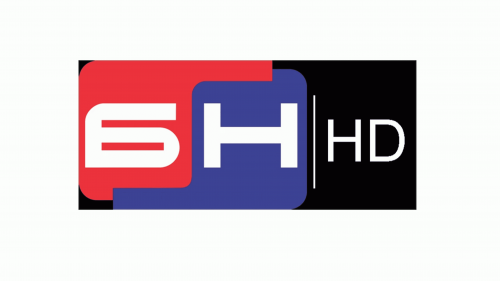 Radio Televizija Bijeljina  Logo