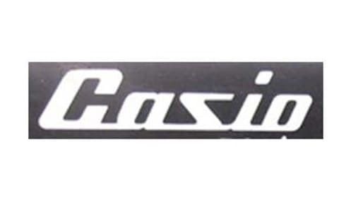 Casio Logo 1957