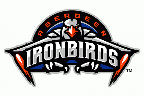 Aberdeen IronBirds logo 2021