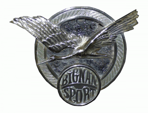 Bignan logo