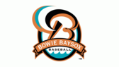 Bowie BaySox Logo tumb