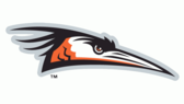 Delmarva Shorebirds Logo tumb