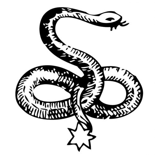 Celtic Snake symbol